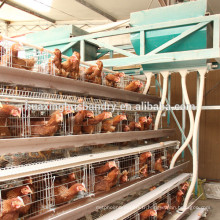 Poulet bon marché / cages de poulet / hangar de poulet chinois / grande ferme de poulet